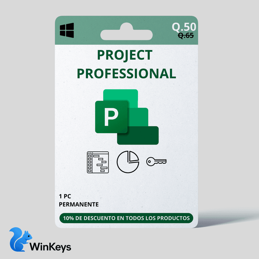 Project Professional